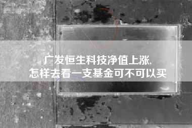 广发恒生科技净值上涨,
怎样去看一支基金可不可以买