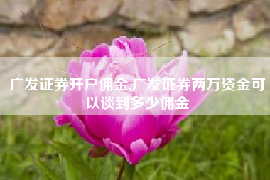 广发证券开户佣金,广发证券两万资金可以谈到多少佣金