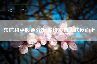 东信和平股票分析,股价没有大跌反而上涨