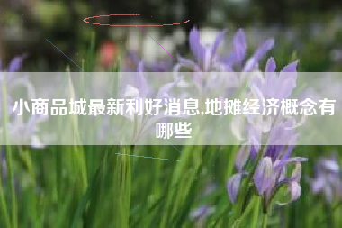小商品城最新利好消息,地摊经济概念有哪些