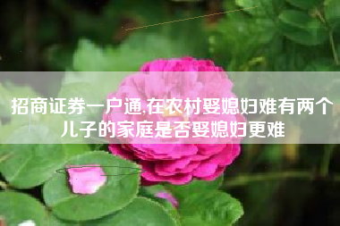 招商证券一户通,在农村娶媳妇难有两个儿子的家庭是否娶媳妇更难