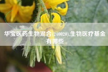 华宝医药生物混合(240020),生物医疗基金有哪些
