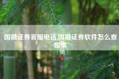 国融证券客服电话,国融证券软件怎么查股票