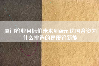 厦门钨业目标价未来到60元,法国合资为什么挑选的是厦钨新能