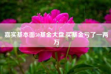 嘉实基本面50基金大盘,买基金亏了一两万