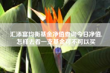 汇添富均衡基金净值查询今日净值,
怎样去看一支基金可不可以买