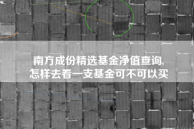 南方成份精选基金净值查询,
怎样去看一支基金可不可以买