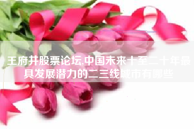王府井股票论坛,中国未来十至二十年最具发展潜力的二三线城市有哪些