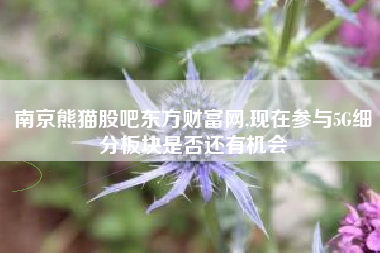 南京熊猫股吧东方财富网,现在参与5G细分板块是否还有机会
