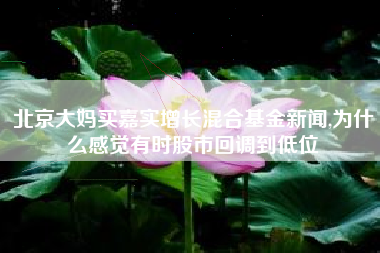 北京大妈买嘉实增长混合基金新闻,为什么感觉有时股市回调到低位