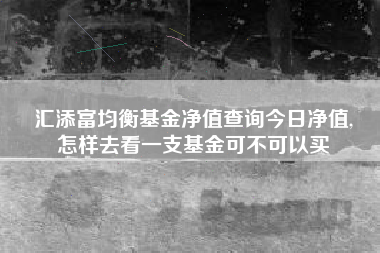汇添富均衡基金净值查询今日净值,
怎样去看一支基金可不可以买