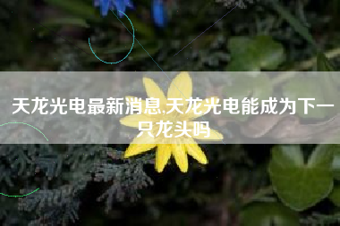 天龙光电最新消息,天龙光电能成为下一只龙头吗