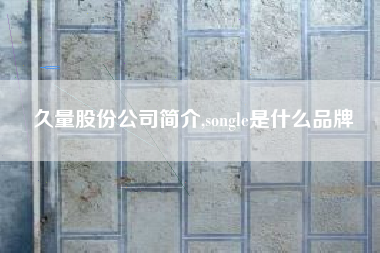 久量股份公司简介,songle是什么品牌