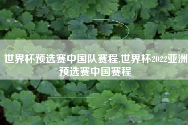 世界杯预选赛中国队赛程,世界杯2022亚洲预选赛中国赛程
