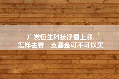 广发恒生科技净值上涨,
怎样去看一支基金可不可以买