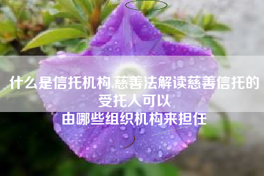 什么是信托机构,慈善法解读慈善信托的受托人可以
由哪些组织机构来担任 什么是信托机构,慈善法解读慈善信托的受托人可以
由哪些组织机构来担任