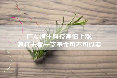 广发恒生科技净值上涨,
怎样去看一支基金可不可以买