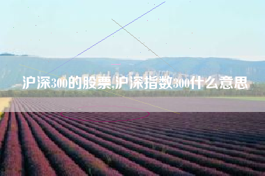 沪深300的股票,沪深指数300什么意思
