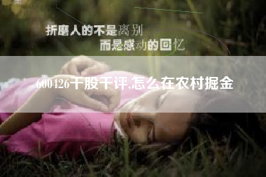 600426千股千评,怎么在农村掘金