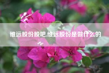 维远股份股吧,维远股份是做什么的