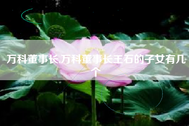 万科董事长,万科董事长王石的子女有几个