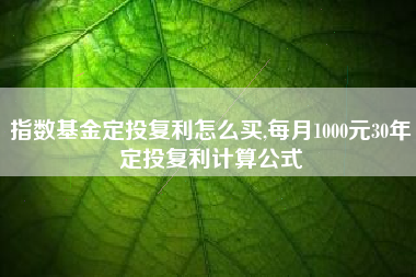 指数基金定投复利怎么买,每月1000元30年定投复利计算公式