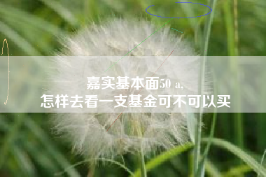 嘉实基本面50 a,
怎样去看一支基金可不可以买