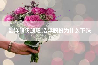 浩洋股份股吧,浩洋股份为什么下跌