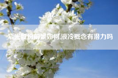 紫光股份前景如何,液冷概念有潜力吗