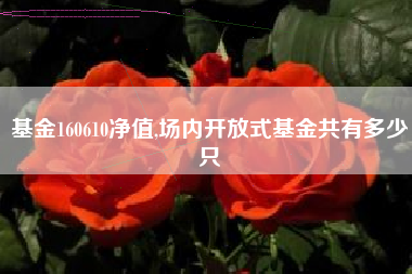 基金160610净值,场内开放式基金共有多少只