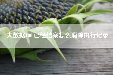 大数据100,已经结案怎么消除执行记录