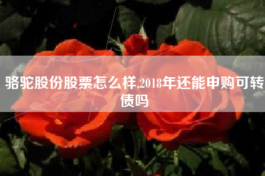 骆驼股份股票怎么样,2018年还能申购可转债吗