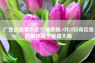 广誉远股票历史交易数据,9月13日高位医药医疗抽空砸盘大崩