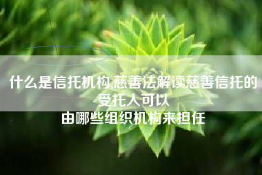 什么是信托机构,慈善法解读慈善信托的受托人可以
由哪些组织机构来担任 什么是信托机构,慈善法解读慈善信托的受托人可以
由哪些组织机构来担任