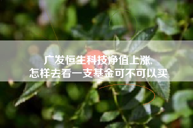 广发恒生科技净值上涨,
怎样去看一支基金可不可以买