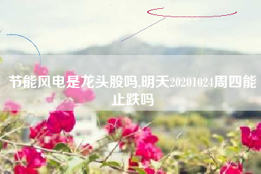 节能风电是龙头股吗,明天20201024周四能止跌吗