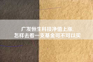 广发恒生科技净值上涨,
怎样去看一支基金可不可以买