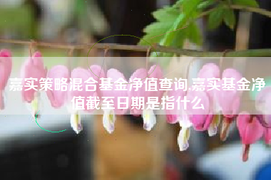 嘉实策略混合基金净值查询,嘉实基金净值截至日期是指什么