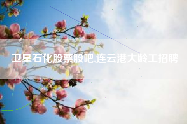 卫星石化股票股吧,连云港大龄工招聘