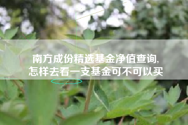 南方成份精选基金净值查询,
怎样去看一支基金可不可以买