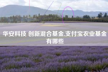 华安科技 创新混合基金,支付宝农业基金有哪些