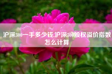 沪深300一手多少钱,沪深300股权溢价指数怎么计算
