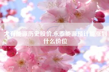 大有能源历史股价,永泰能源预计能涨到什么价位