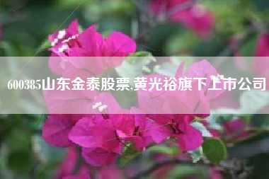 600385山东金泰股票,黄光裕旗下上市公司