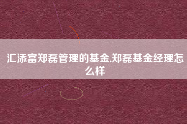 汇添富郑磊管理的基金,郑磊基金经理怎么样