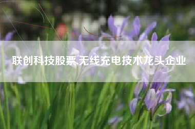 联创科技股票,无线充电技术龙头企业