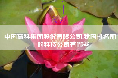 中国高科集团股份有限公司,我国排名前十的科技公司有哪些