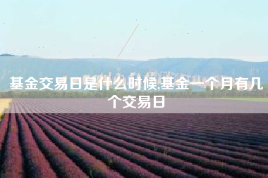 基金交易日是什么时候,基金一个月有几个交易日