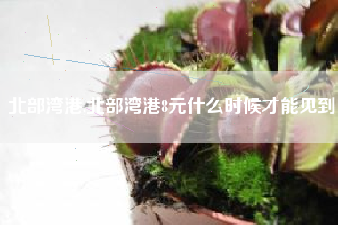 北部湾港,北部湾港8元什么时候才能见到