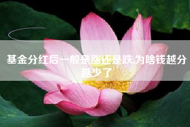 基金分红后一般是涨还是跌,为啥钱越分越少了